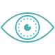 icons8-vision-80