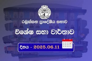 මාසික මහා සභා වාර්තාව 2025-06-11